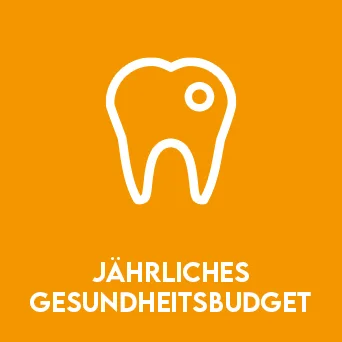 Jährliches Gesundheitsbudget